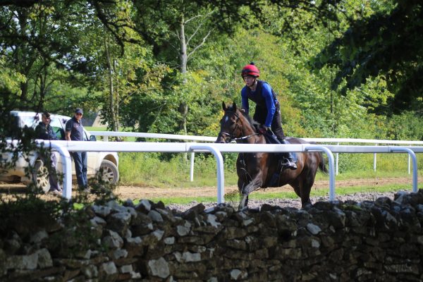 Shares in Stardhem - Image 3