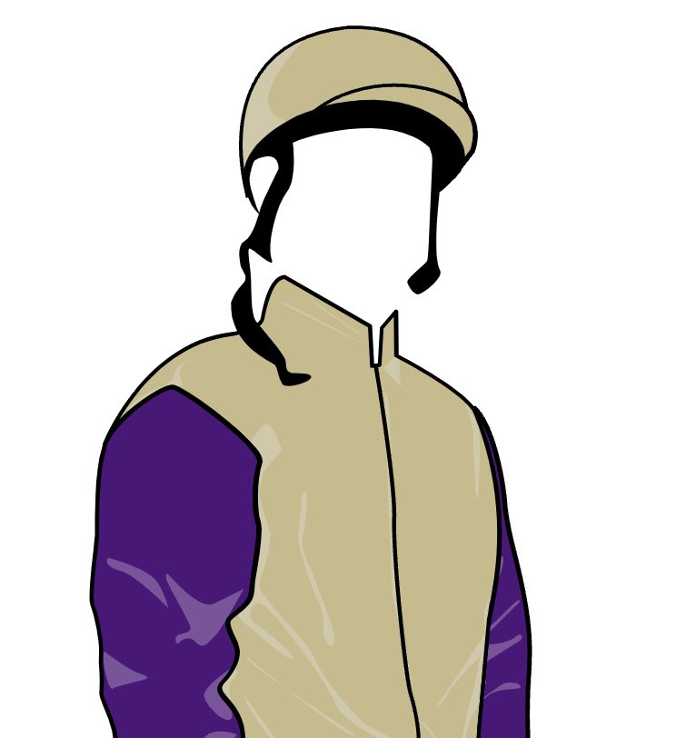 (c) Pimlicoracing.co.uk