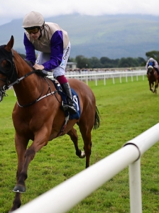 Shares in Chutzpal