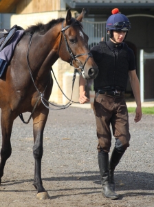 Shares in Stardhem